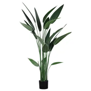 Produkt Umělá Rostlina Canna, V: 140cm