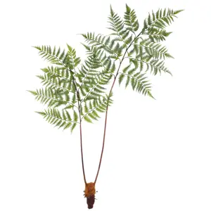 Umělá Rostlina Dyropteris, V: 150cm