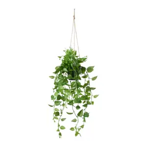 Produkt UMĚLÁ ROSTLINA PHILODENDRON II -PAZ- -EXT-