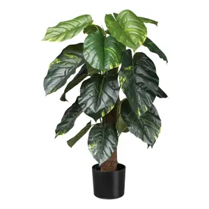 UMĚLÁ ROSTLINA Philodendron Scandes I